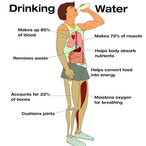 What alcohol absorbs water?