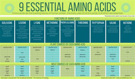 What amino acids are only found in meat?