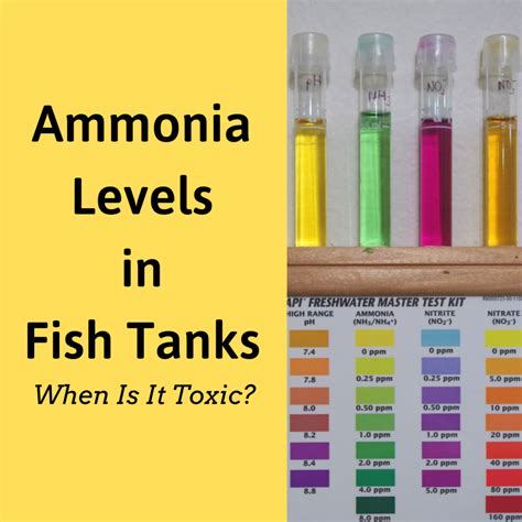 What animal has ammonia?