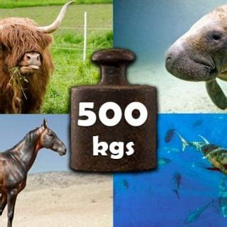 What animal is 5000 kg?