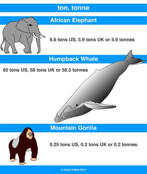 What animal is 8 tons?