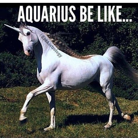 What animal is Aquarius?