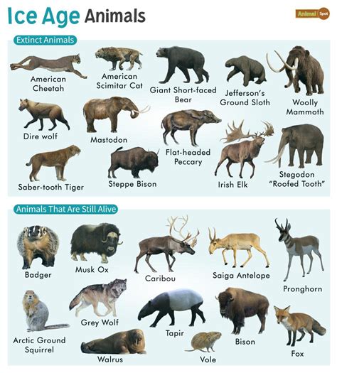 What animal is Ice Age?