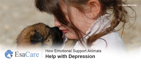 What animal is best for depression?