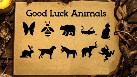 What animal is good luck for money?