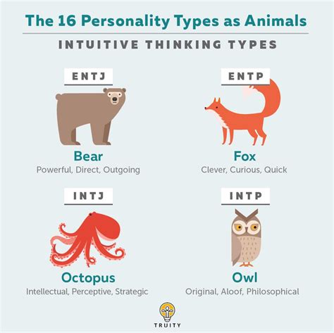 What animal is shy personality?