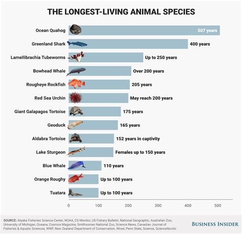 What animal lives the longest?