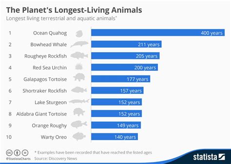 What animal lives the longest ever?