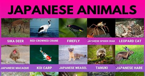 What animal represents Japan?
