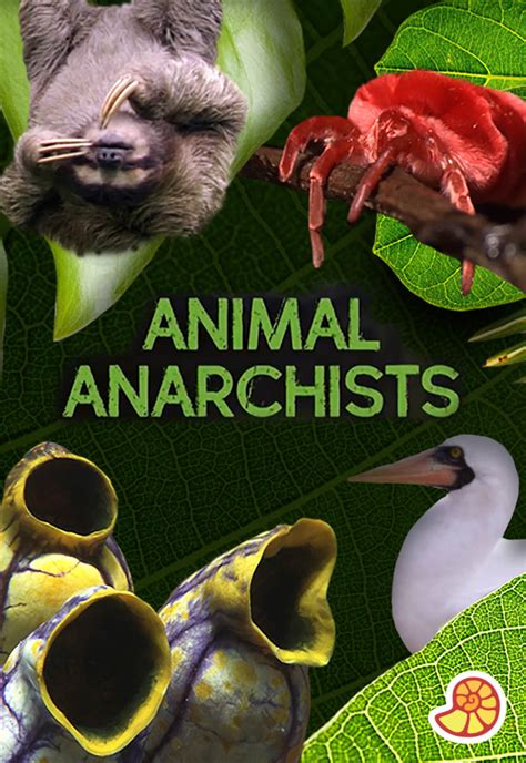 What animals are anarchists?