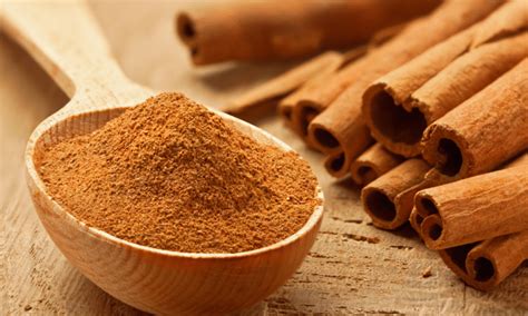 What animals hate the smell of cinnamon?