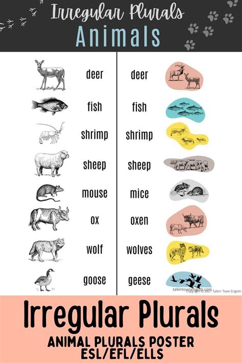 What animals have no S for plural?