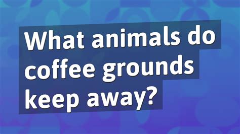 What animals will coffee grounds keep away?