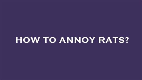 What annoys a rat?