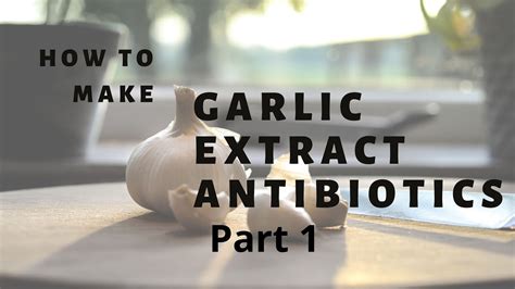 What antibiotic is made from garlic?