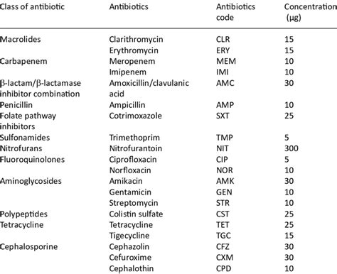 What antibiotic stops E. coli?