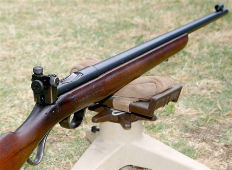 What are .22 rifles best for?