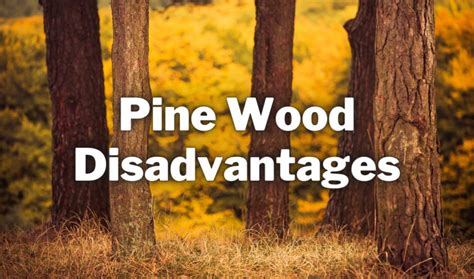 What are 10 disadvantages of wood?