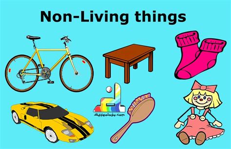 What are 10 examples of non-living things?
