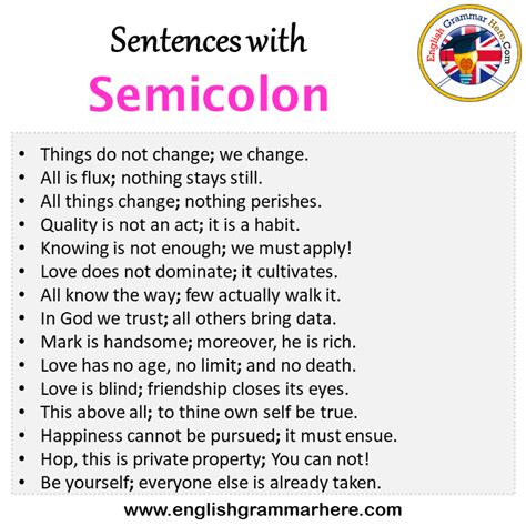 What are 10 examples of semi colon sentences?