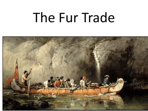 What are 2 fun facts about the fur trade?