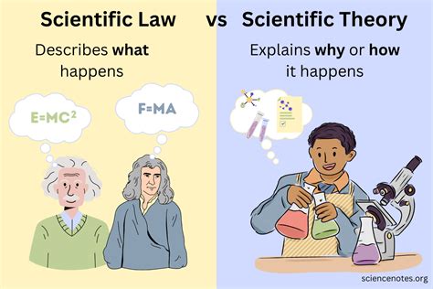 What are 2 laws of science?