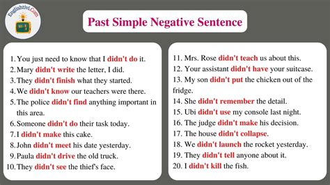 What are 2 negative sentences in simple past?