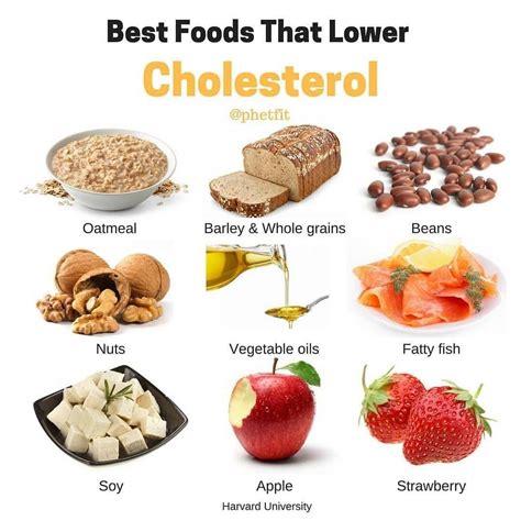 What are 3 best foods for lowering cholesterol?
