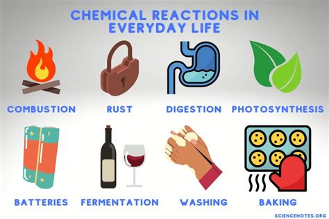 What are 3 chemical reactions that happen everyday?