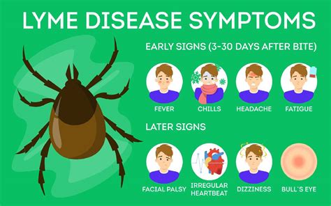 What are 3 common signs of Lyme disease?