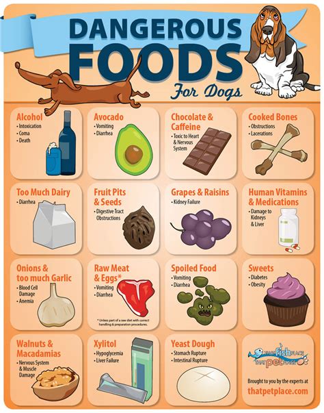What are 3 foods bad for dogs?