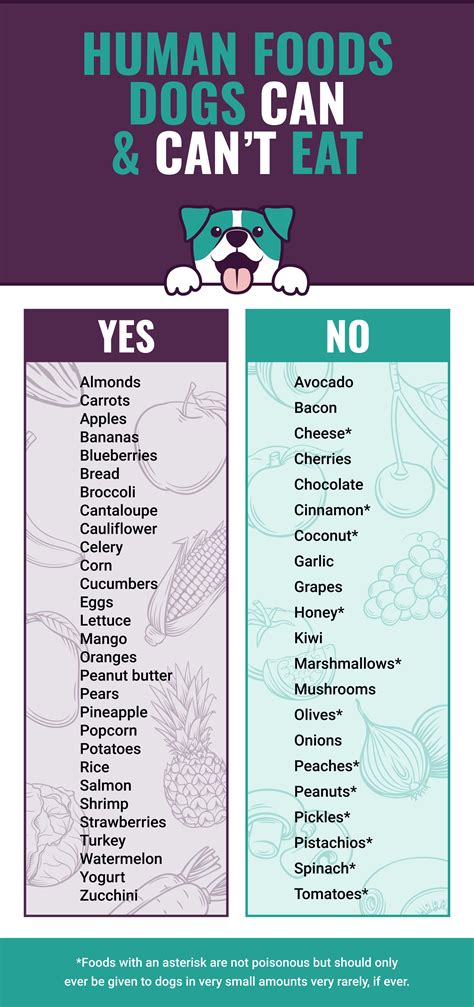 What are 3 foods dogs should not eat?