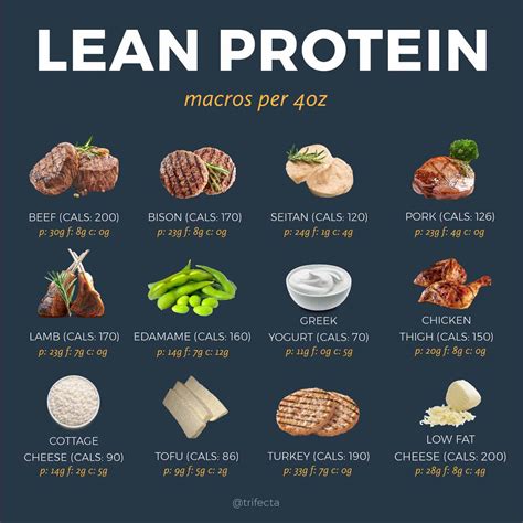 What are 3 foods high in protein?