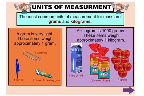 What are 3 objects measured in grams?