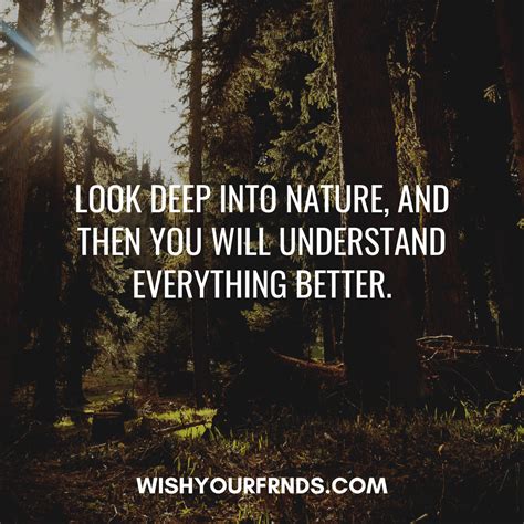 What are 3 quotes about nature?