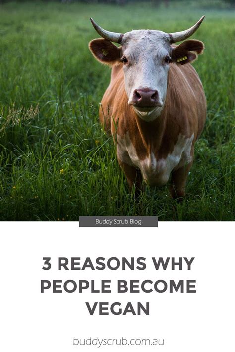 What are 3 reasons people go vegan?