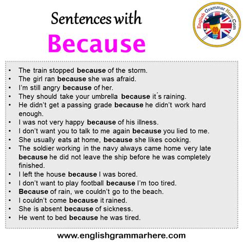 What are 3 sentences for because?