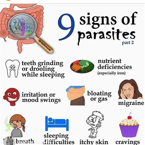 What are 3 symptoms of a parasite infection?