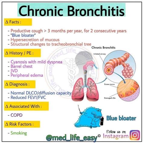 What are 3 symptoms of bronchitis?