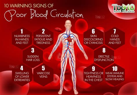 What are 3 symptoms of poor circulation in the body?