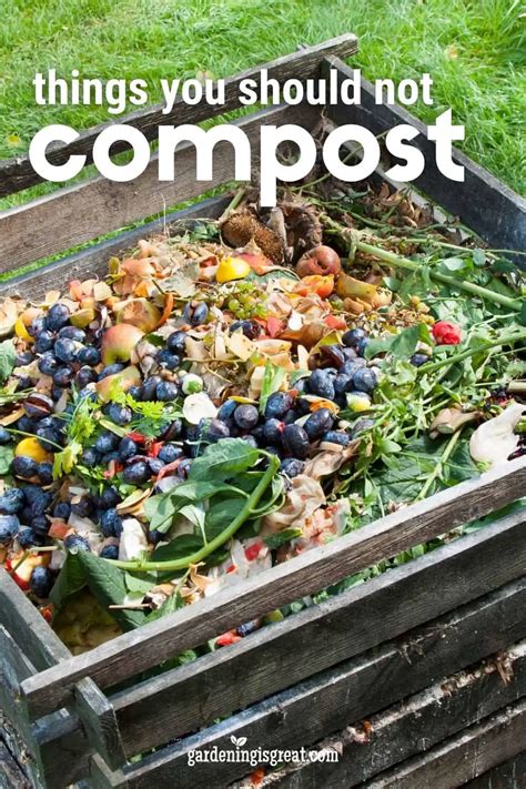 What are 3 things you shouldn't compost?