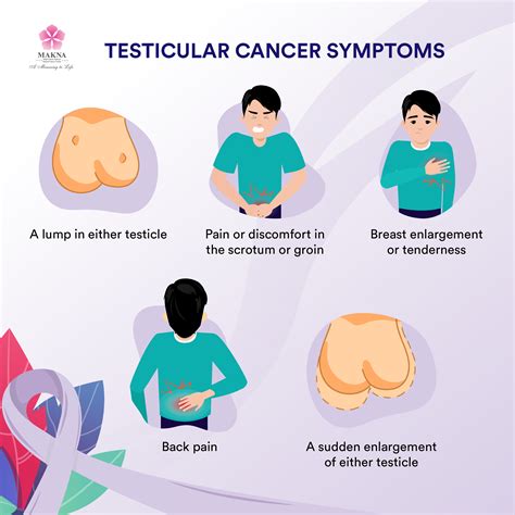 What are 3 warning signs of testicular cancer?