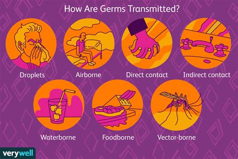 What are 3 ways diseases can be spread from person to person?