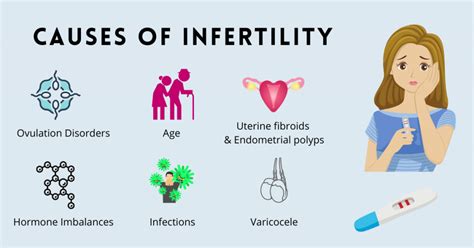 What are 4 causes of female infertility?