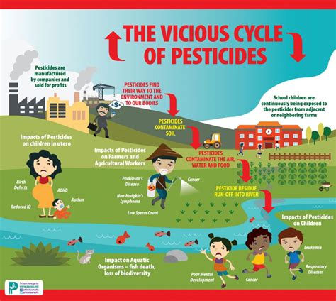 What are 4 dangers of pesticides?