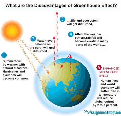 What are 4 disadvantages of a greenhouse?