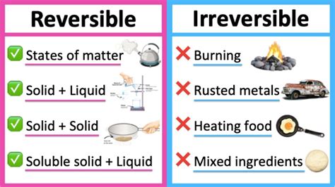What are 4 examples of reversible and irreversible changes?