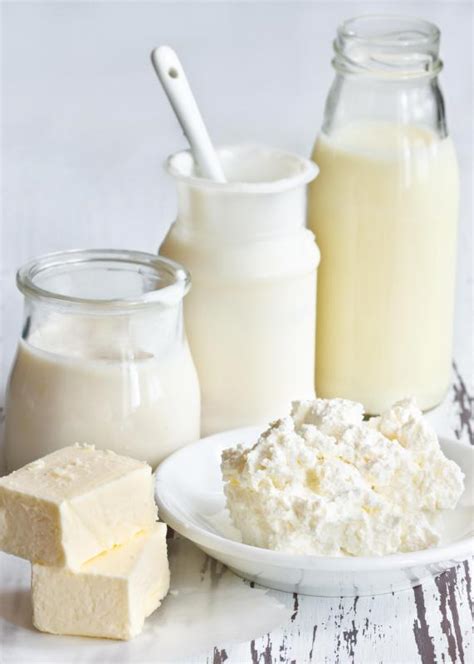 What are 4 fermented dairy products?