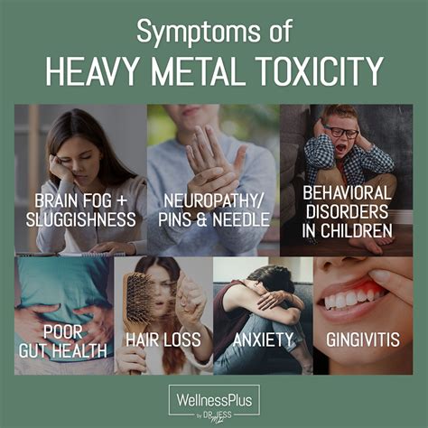 What are 4 general symptoms of toxic heavy metal exposure?