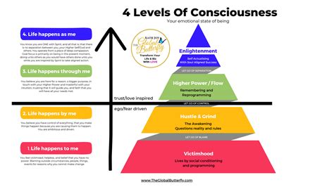 What are 4 levels of consciousness?